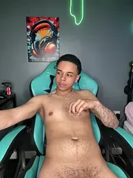 l-laross webcam model stream image