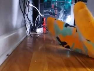 edgewuff webcam camsoda model stream image