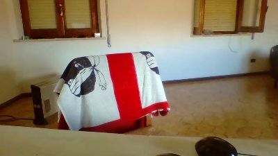 COBRAHARD webcam model stream image