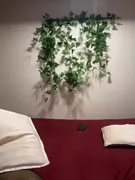 Chennai_Fire webcam model stream image