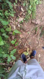 Clark_Jhonz webcam model stream image