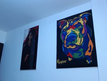 ray_coopers webcam model stream image