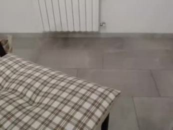 dirtyman8603 webcam model stream image