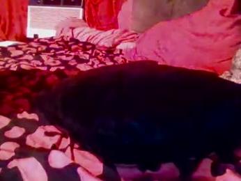 twizzytoxic22 webcam model stream image