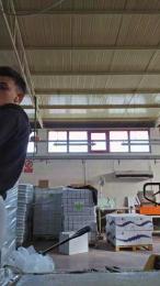 robinodxxx webcam model stream image