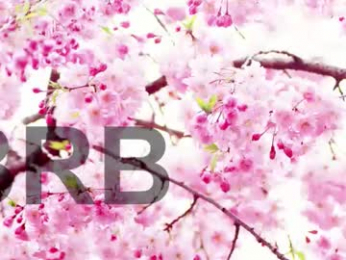 lorraine_baker webcam model stream image