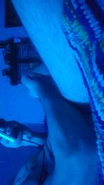 candyman20 webcam model stream image