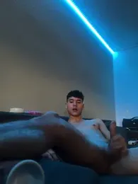 TyroneeDE webcam model stream image