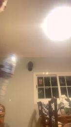 Raton1982 webcam model stream image