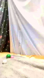 BostonGeorge69 webcam model stream image