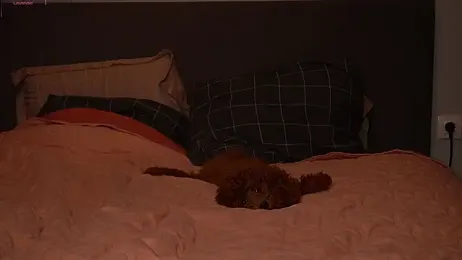 TastyPoint webcam model stream image