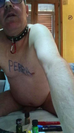 perrasum3 webcam model stream image