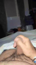 Pollopoyon webcam model stream image