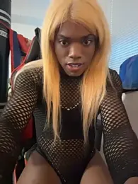 frenchiego webcam model stream image