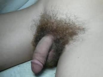 slimhungyvng webcam model stream image