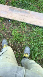 Svardo webcam model stream image