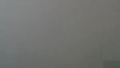 Melanin-Monroeee webcam model stream image