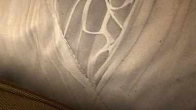 Chantaaal webcam model stream image