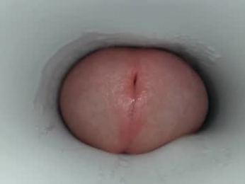 jeffrodgerschaturbat webcam model stream image