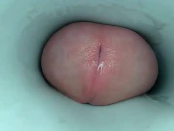 jeffrodgerschaturbat webcam model stream image