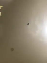 MEOW_MEO webcam model stream image