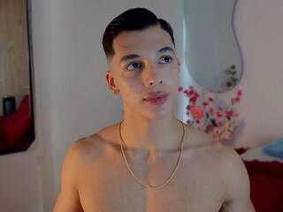 Troye Williams webcam model stream image