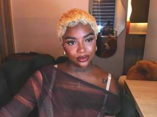 teerry webcam model stream image