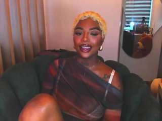 teerry webcam model stream image