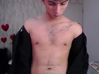 mr_williseo webcam model stream image