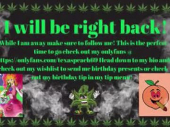 texaspeach69 webcam model stream image