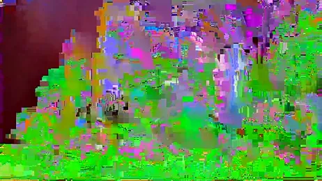 MissEva10 webcam model stream image