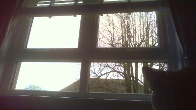 scotlad52 webcam model stream image