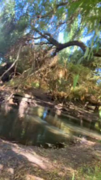 Meliixxx webcam model stream image