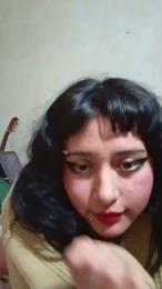 Obsidia_ webcam model stream image