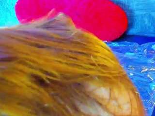 likardashianx webcam model stream image