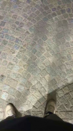 Nolino20 webcam model stream image