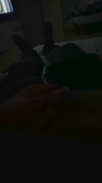 Nolino20 webcam model stream image