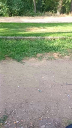 REYi7 webcam model stream image