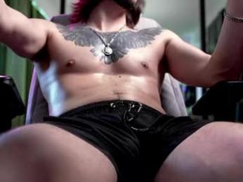 dl_raven webcam model stream image