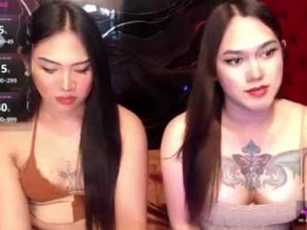 tsasianseductivehot webcam chaturbate model stream image
