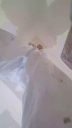 Enelche webcam model stream image