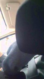 Enelche webcam model stream image