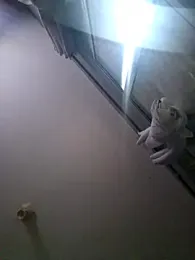 Ragnar121277 webcam model stream image