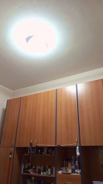 vogliadi6 webcam model stream image