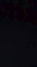 vogliadi6 webcam model stream image