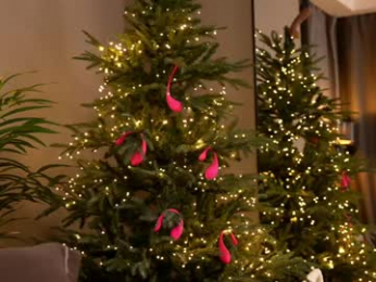 _keti_ webcam model stream image