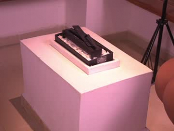 dakota_leex webcam chaturbate model stream image