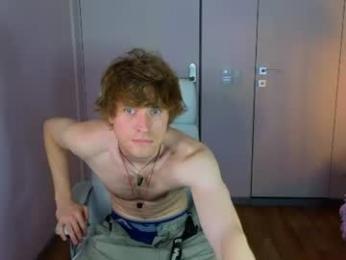skyveyr webcam model stream image