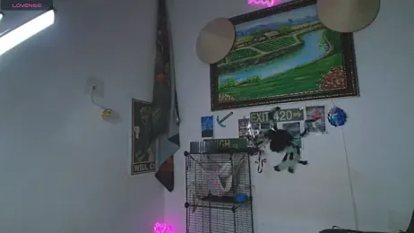 devil_fts webcam model stream image