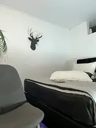 Markboyl webcam stripchat model stream image